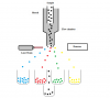 Flowcytometry